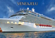 Veneajelu: What's New in the World of Non-invasive Beauty?