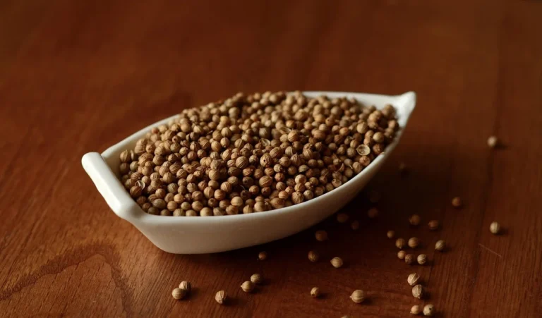 Koriandri: Culinary Uses and Health Benefits