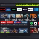 echostreamhub: Transforming Your Streaming Experience In Industry