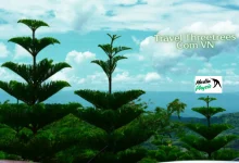 travel threetrees com vn