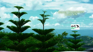travel threetrees com vn