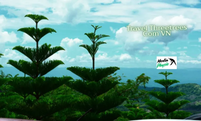 travel threetrees com vn