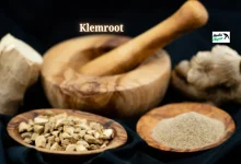 klemroot