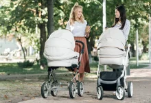 Travel-Friendly Stroller