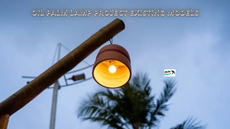 oil palm lamp project existing
