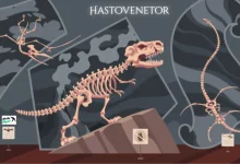 hastovenetor