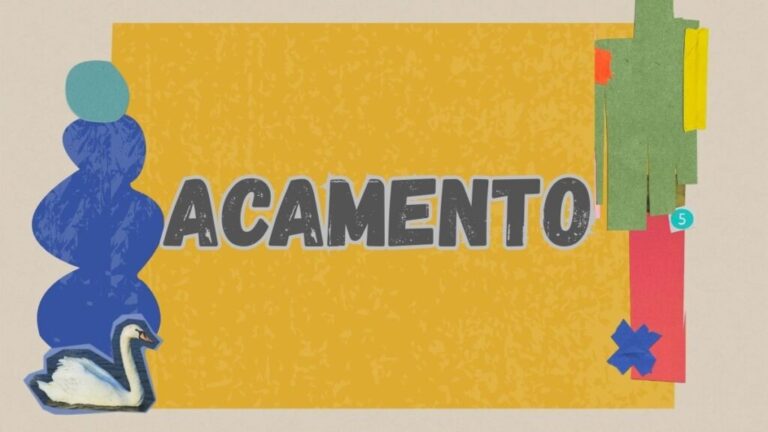 Acamento: How It Can Transform Your Creative Process