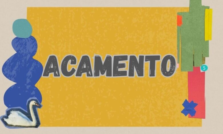 Acamento: How It Can Transform Your Creative Process