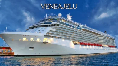 Veneajelu: What's New in the World of Non-invasive Beauty?