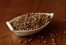 Koriandri: Culinary Uses and Health Benefits