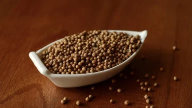 Koriandri: Culinary Uses and Health Benefits