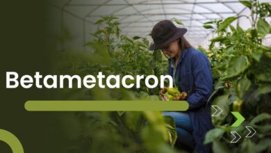 Betametacron: How It Works in Treating Inflammatory Conditions