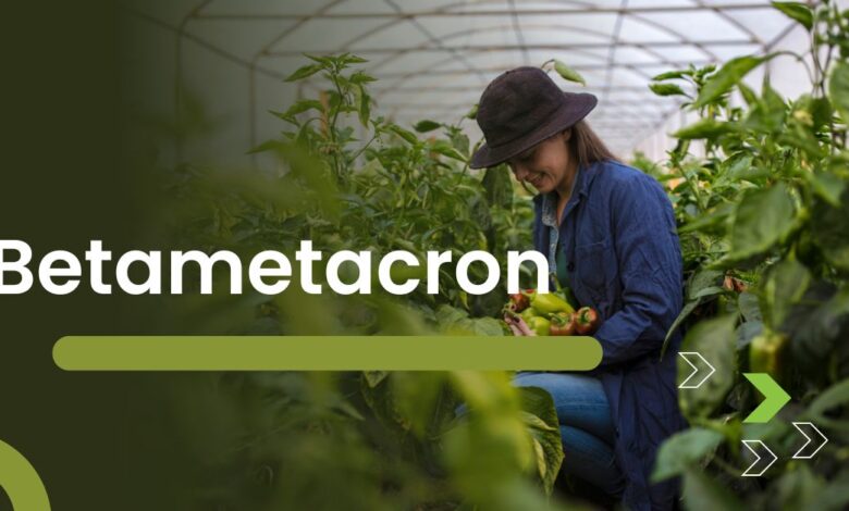 Betametacron: How It Works in Treating Inflammatory Conditions