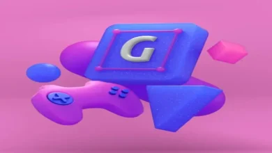 Gaymetu e: The Intersection of Identity and Interactive Entertainment
