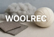Woolrec: The German Recycling Company and Its Downfall