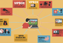Vipbox Review: The Risks of Using Unofficial Free Sports Streaming Sites