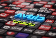 avtub: Stands Out in a Crowded Streaming Landscape
