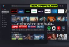 echostreamhub: Transforming Your Streaming Experience In Industry
