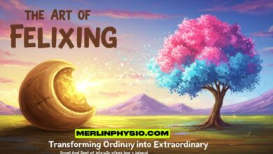 The Art of felixing: Transforming Ordinary into Extraordinary