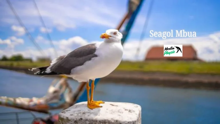 seagol mbua