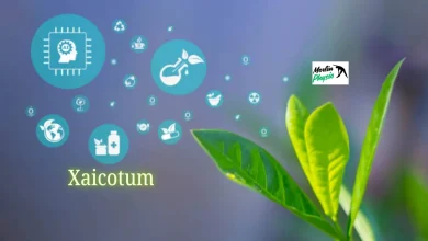 xaicotum