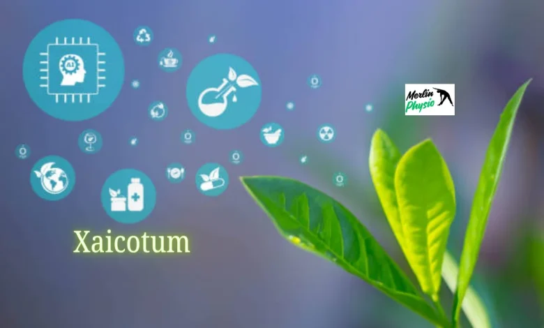 xaicotum
