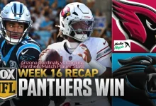 arizona cardinals vs carolina panthers match player stats