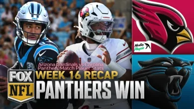 arizona cardinals vs carolina panthers match player stats
