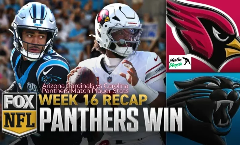 arizona cardinals vs carolina panthers match player stats