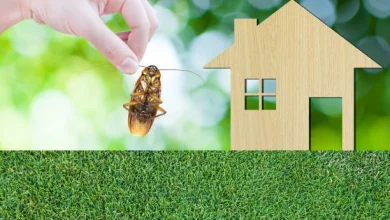 really attracts pests