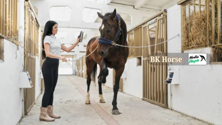 bk horse