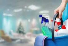 Maid 2 Clean San Diego