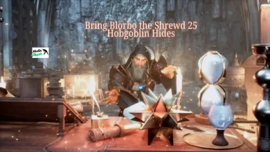 bring blorbo the shrewd 25 hobgoblin hides