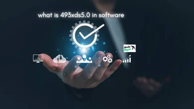 what is 493xds5.0 in software