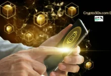 Crypto30x.com Dis