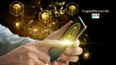 Crypto30x.com Dis