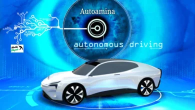 autoamina