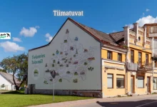 tiimatuvat