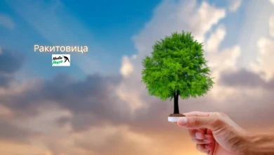 ракитовица