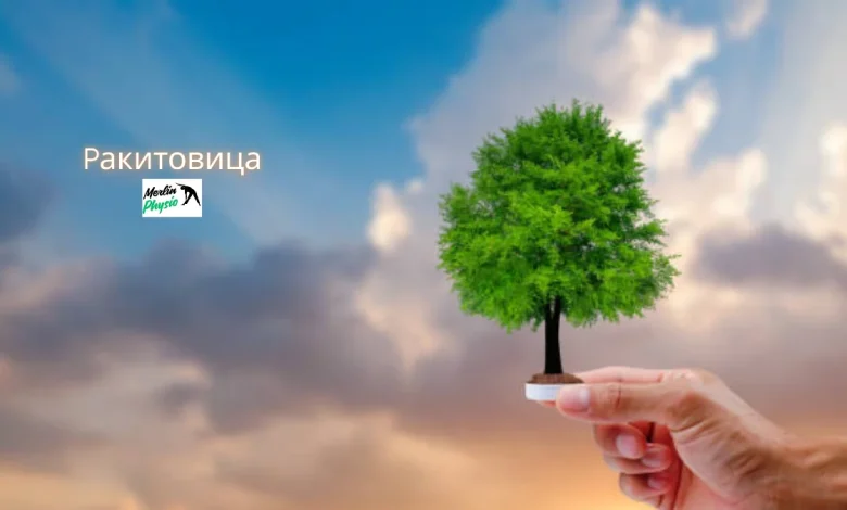 ракитовица