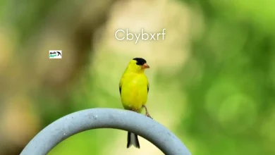 cbybxrf