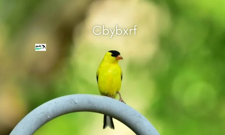cbybxrf