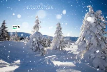 snowhiter