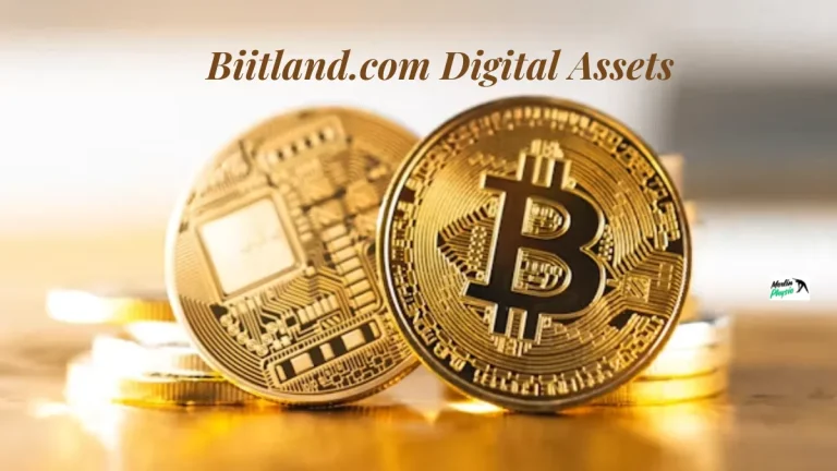 biitland.com digital assets